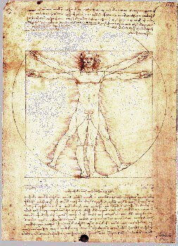 Homo da Vinci